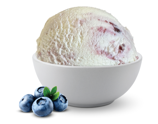 Greek Yogo Blueberry